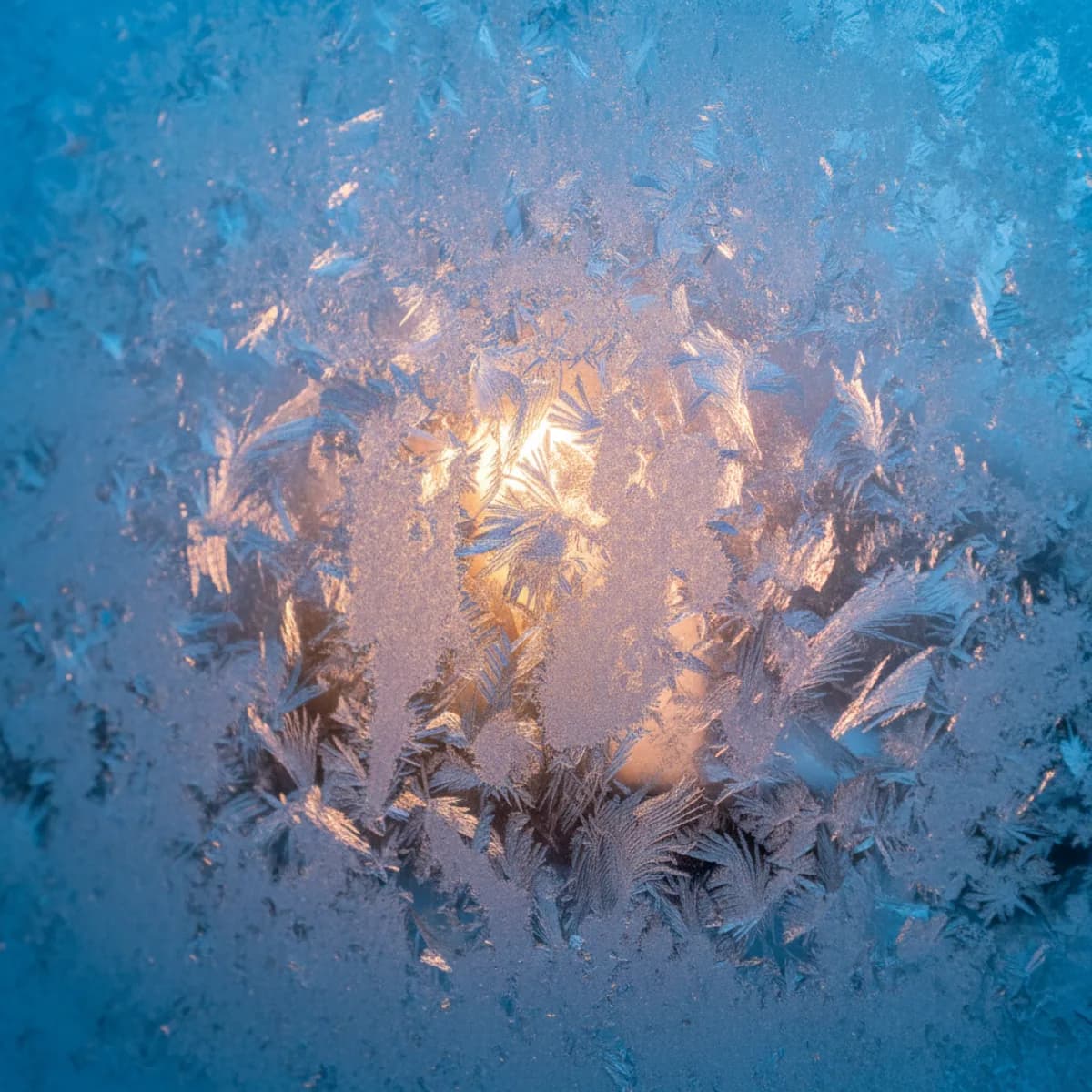 Pose de fenetre en hiver par Lagrace Fermeture a Thonon-les-Bains